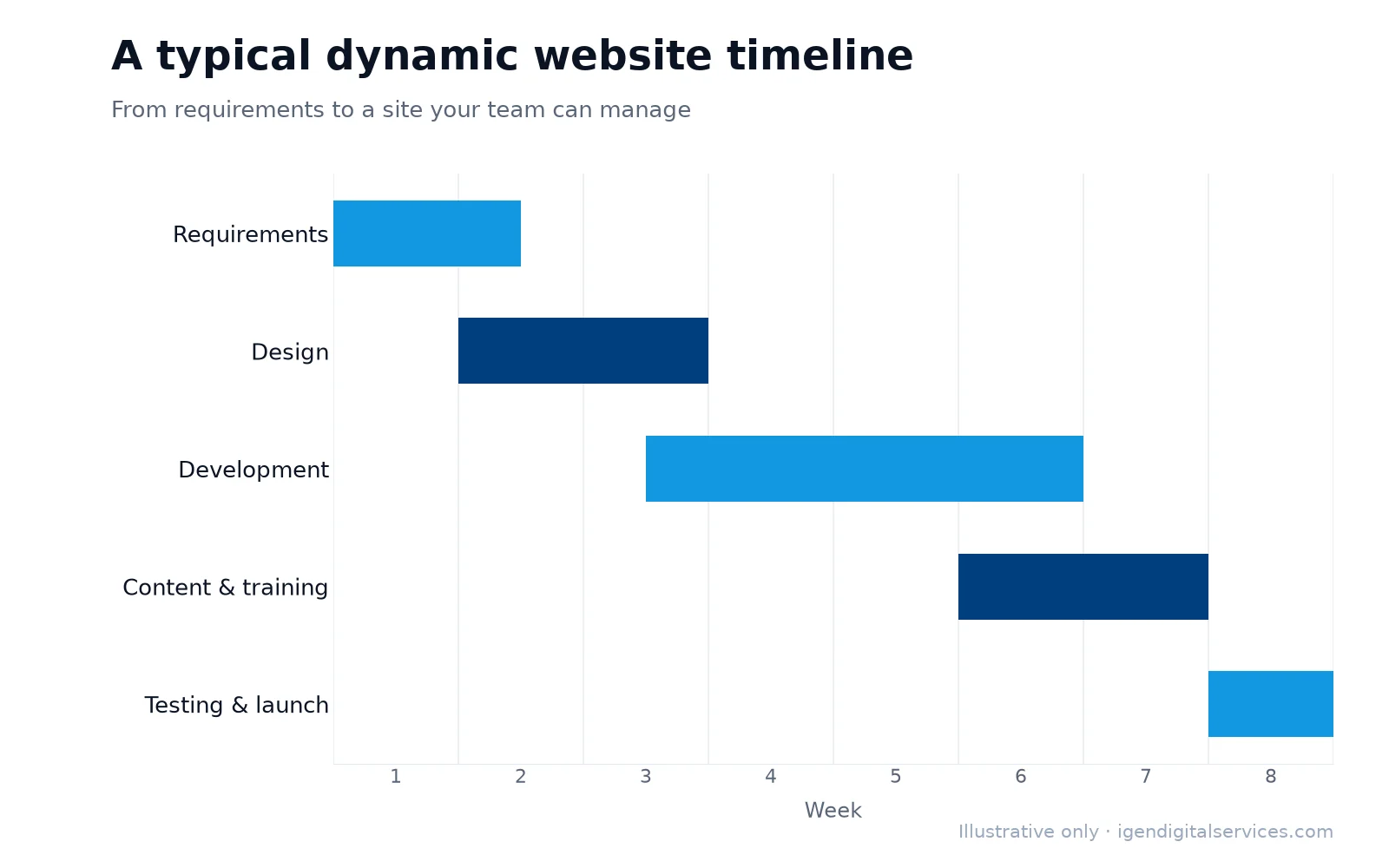 Illustrative dynamic website project timeline over eight weeks